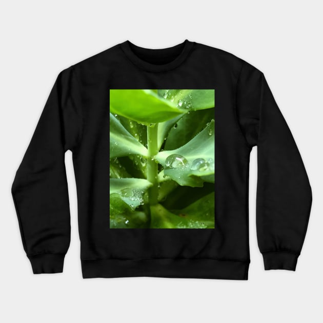 Soothing green water freshness Crewneck Sweatshirt by Khala